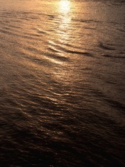 F0E5D37E-5B0E-4AF8-8ADD-C6A577D43C22/L0/001