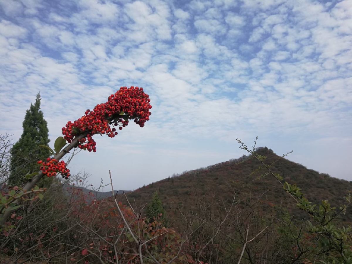大美襄阳葫芦山