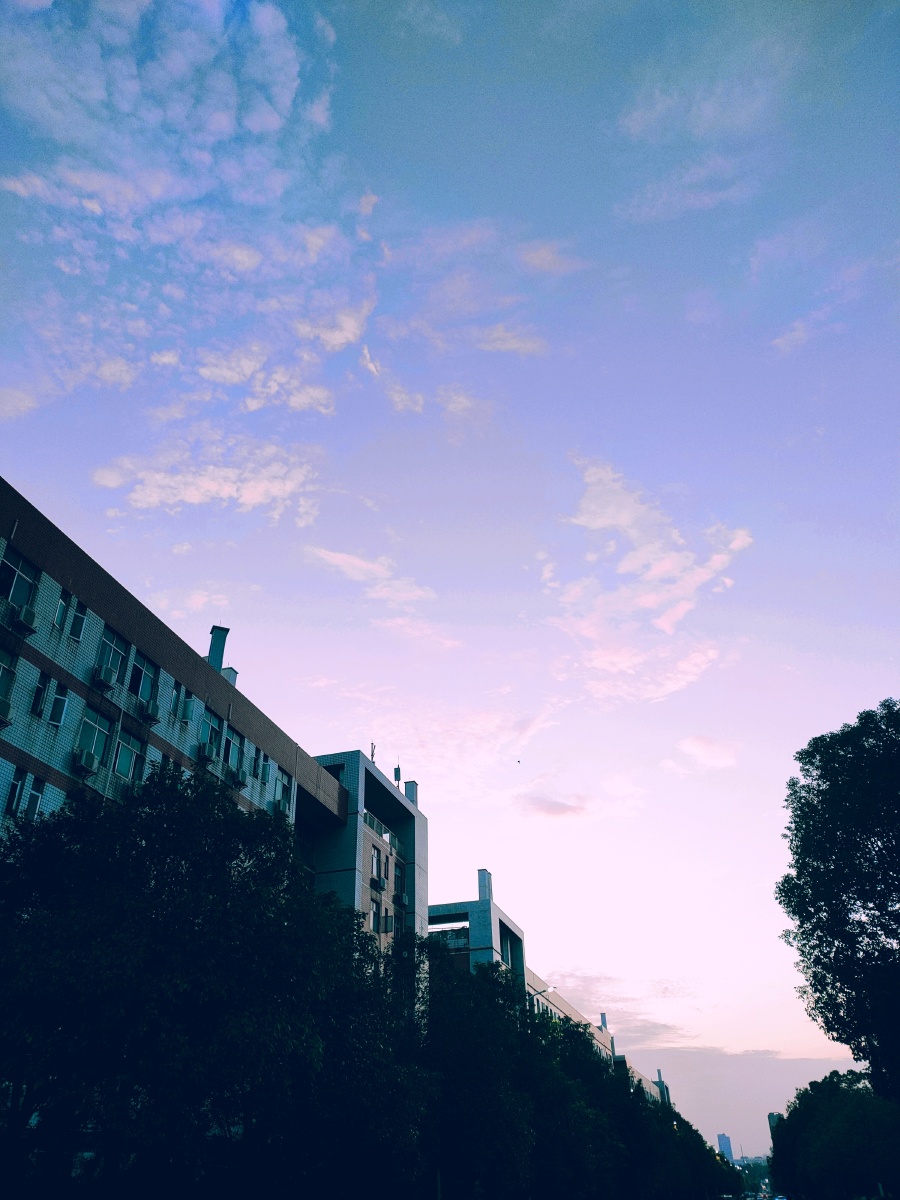 风景照美好的校园