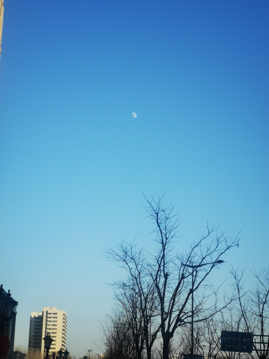 白天的月亮