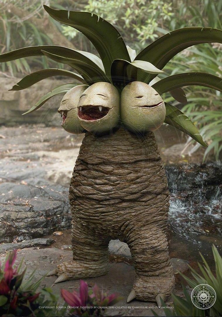 分享一波可爱的宠物 - judo独行侠