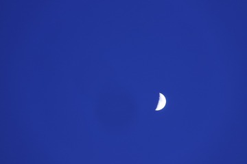 C75DF259-F957-443D-AF44-DE4BA8520C18/L0/001