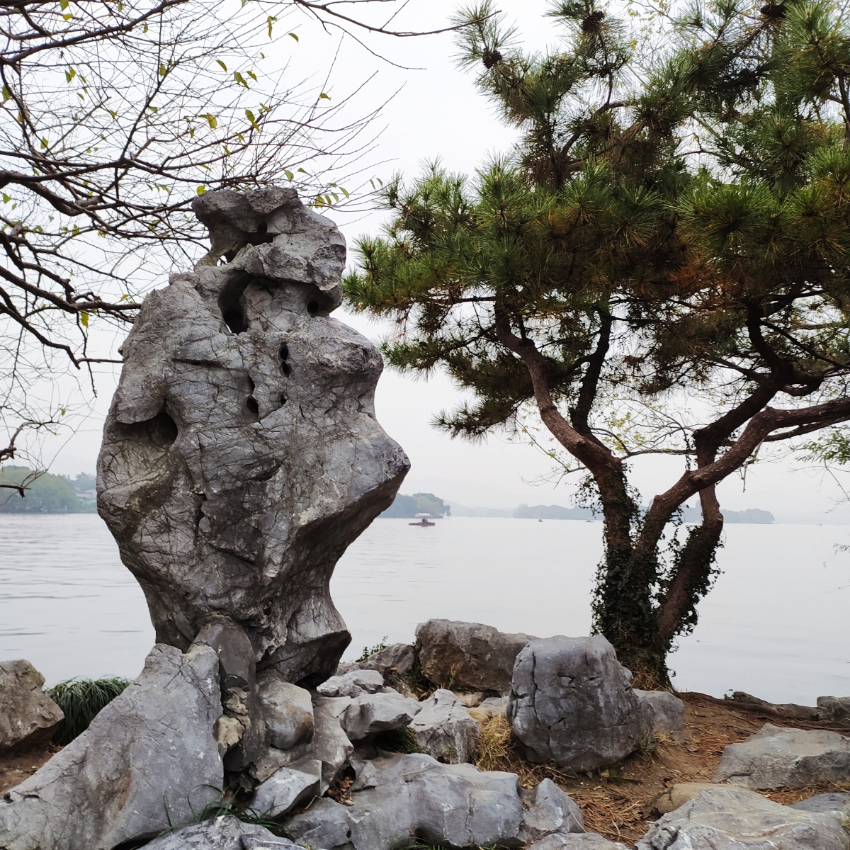 杭州西湖边有座奇石天天站在这里守着西湖.