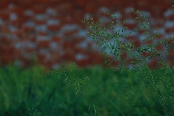 9B233D9C-6D4F-4638-9854-046EA53E68C4/L0/001