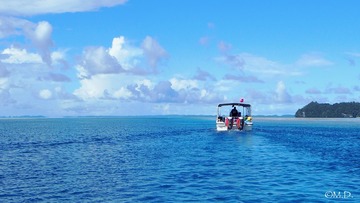 Wandering on the sea