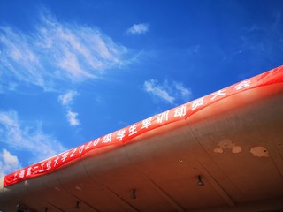 8505874