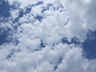98