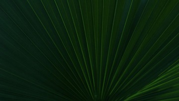 48484A9A-F601-437A-8797-2925E4790B93/L0/001