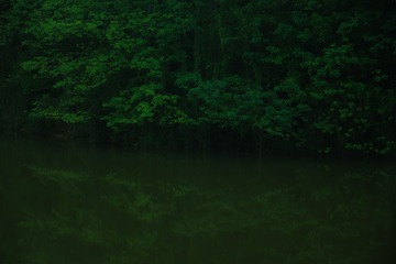 023C1519-E157-45D9-A376-777B349A500D/L0/001