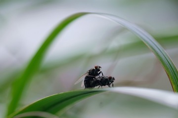 tmp_6465a079bc09eddddef7ec599b4c260a