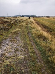 IMG_0459-1