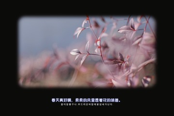 D120888D-B3CE-4759-B758-FF68D0BFE3E7/L0/001