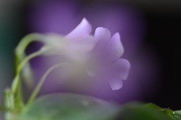 D36C0EFD-31FB-4D51-834F-C478EFE1D223/L0/001