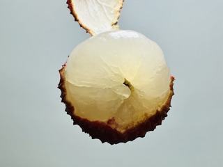 B85D0AC0-9559-4FC8-803B-B60F22458C83/L0/001