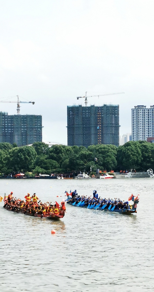 端午节赛龙舟摄于温州市鹿城区