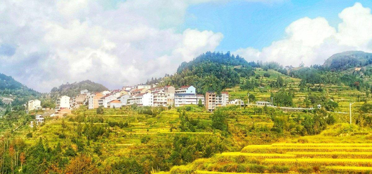 茗岙梯田风光摄于温州永嘉县