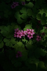 712A2EAE-8C35-4DA5-B23D-3443E411EF8A/L0/001