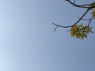 A41B8CF0-F283-4A60-B8D5-C1BE4EC0E443/L0/001
