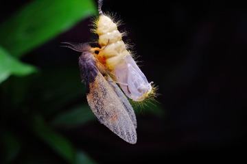 8754CD2C-AA3C-4683-B6F1-1B00D5E41875/L0/001