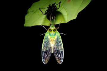 E6D89050-8A4E-4AB1-AEAA-77FA5EA0F775/L0/001