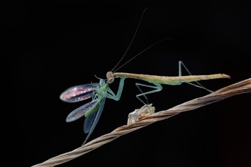39594AFF-028F-4F19-8CA0-2ADF380000BC/L0/001