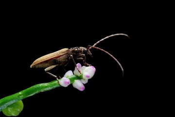 C194E734-8024-4F0C-9C44-4BB613543AAD/L0/001