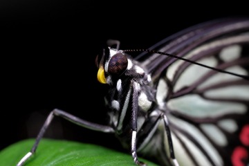 304B2471-6B3C-44F7-A8B4-F5230E28D5FF/L0/001