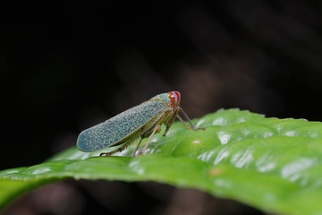 9843879A-91FC-48F1-A2D8-BEE5968B3666/L0/001