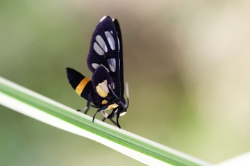 D4B0B9C7-74C6-4B31-B43F-6FAE0C81BBA4/L0/001