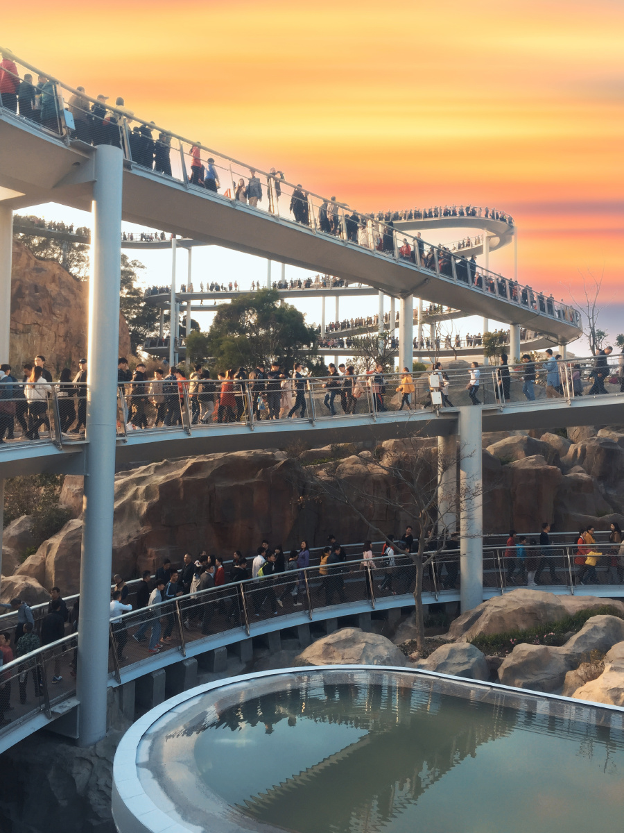 网红桥——厦门