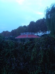 IMG_20201101_145858