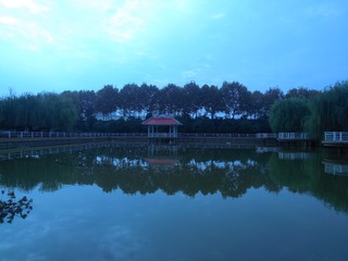IMG_20201101_150553