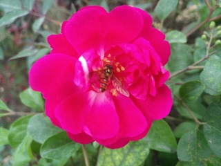 IMG_20201101_144507
