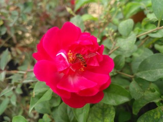 IMG_20201101_144353