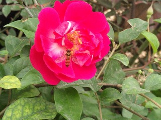 IMG_20201101_144329