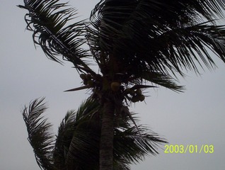 1F055E4B-A7C0-478C-8A17-17F379997497/L0/001