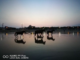 IMG_20160825_183809