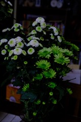 62AFE1D6-019F-406B-BC6A-7927A96603F9/L0/001