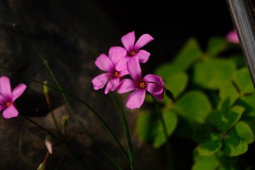 5F12CA8E-8796-4890-904C-345D57CEB1B6/L0/001