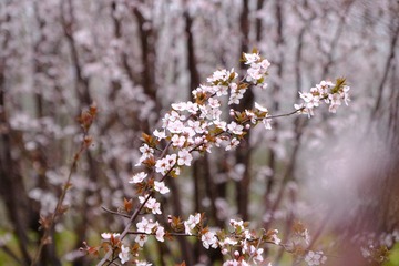 75A11687-E608-409A-8347-6D75C27B1E27/L0/001