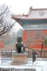 图片 14575D副A