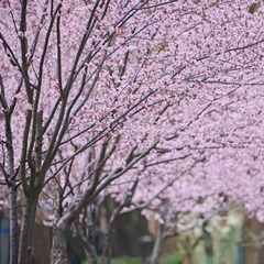 5465E4EA-5430-4E61-A97F-C0EA4117DF89/L0/001