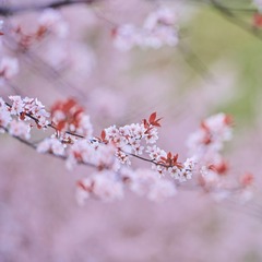 B64135A8-D2CB-47E3-9048-62B1B95FCFD8/L0/001