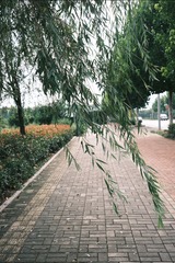 1EC922CA-D4F9-495F-935B-F1293C72B265/L0/001