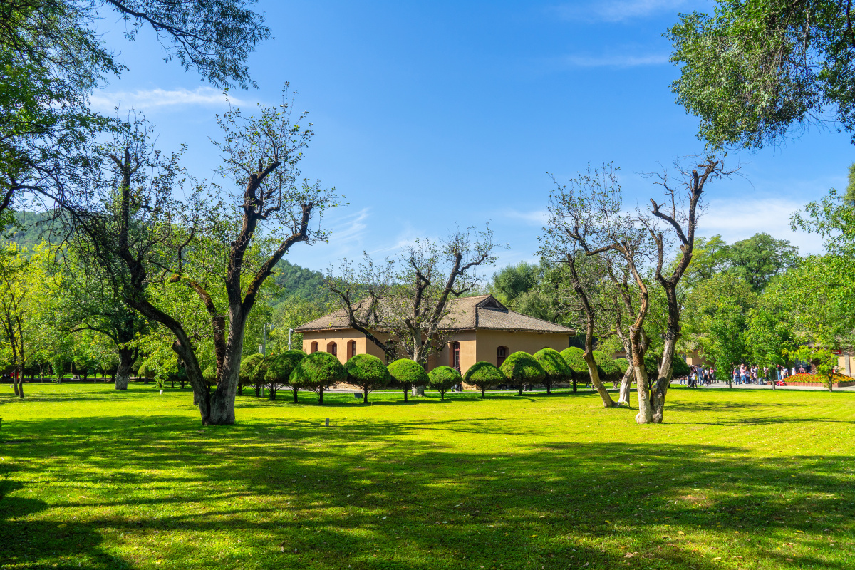 延安枣园阳光明媚风景如画