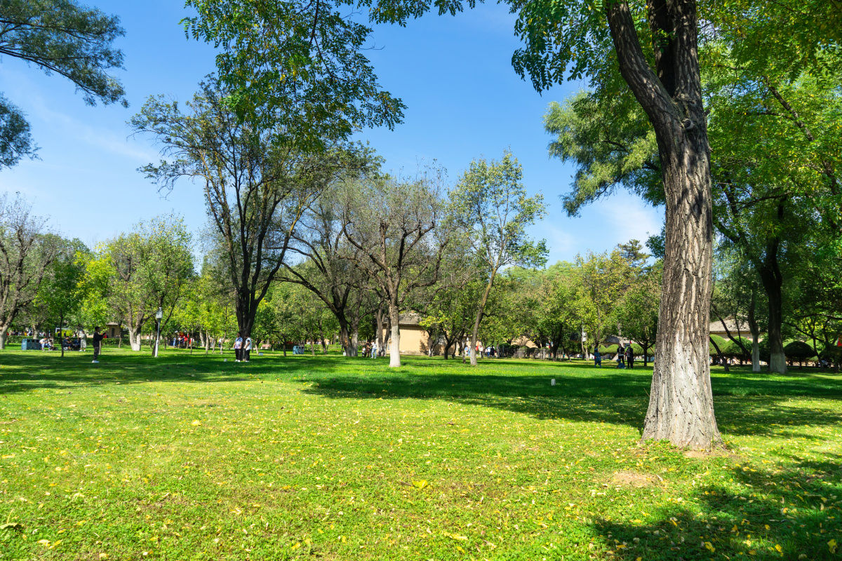 延安枣园阳光明媚风景如画