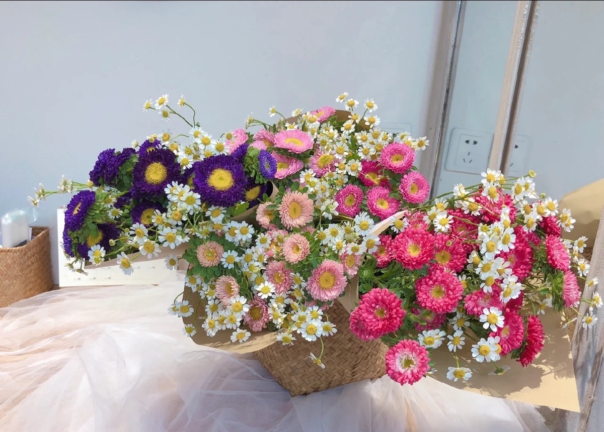 洋甘菊花束 - 旋木609 - 图虫