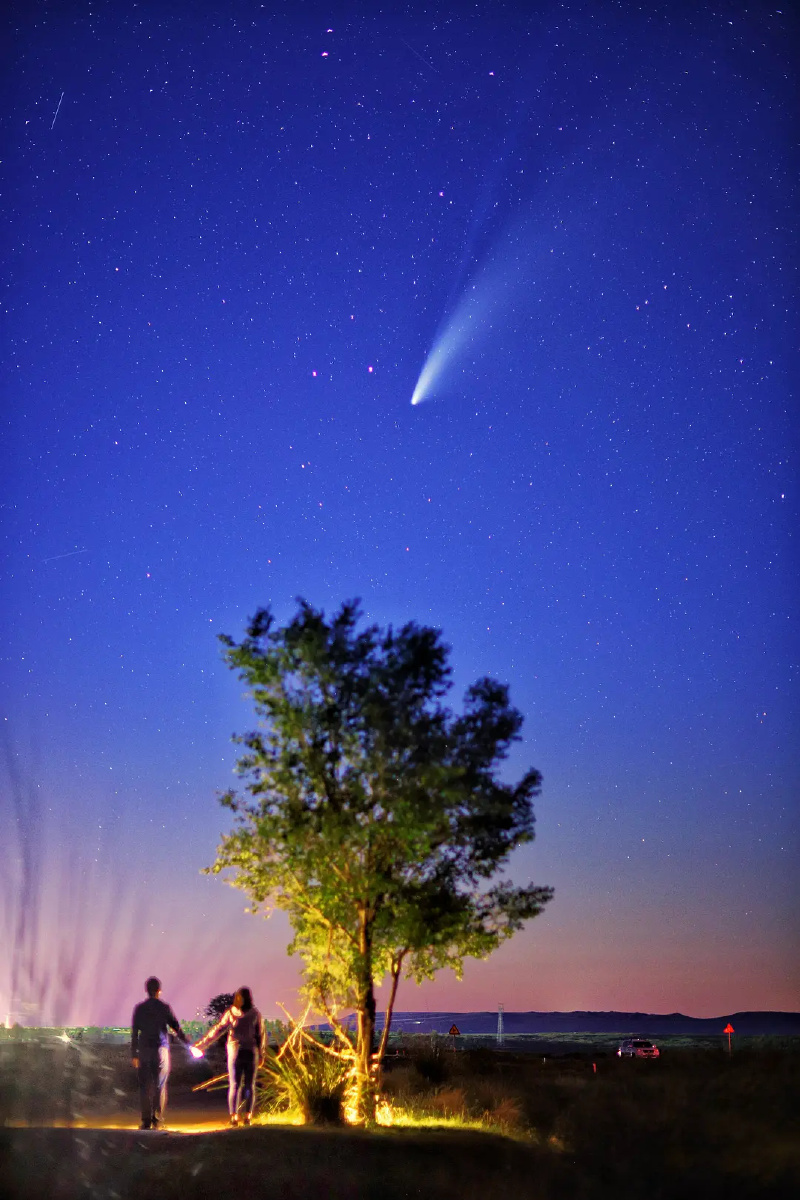 夜空中最亮的星 - 樱雪之城05 - 图虫