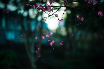 96C58D75-A846-461F-855A-5C7284A12FF1/L0/001