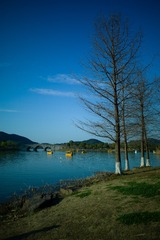 FD3BCFB7-4D18-40C1-AAA6-C5B0385D028B/L0/001